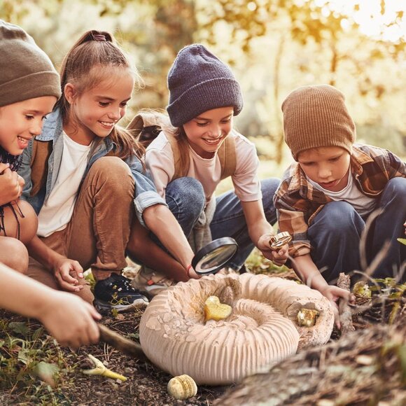 Fossil Dig Kit - Excavate 12 Prehistoric Fossils(1 Set) - Picture 7 of 8